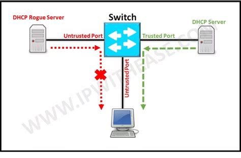 dhcp snooping trusted interface